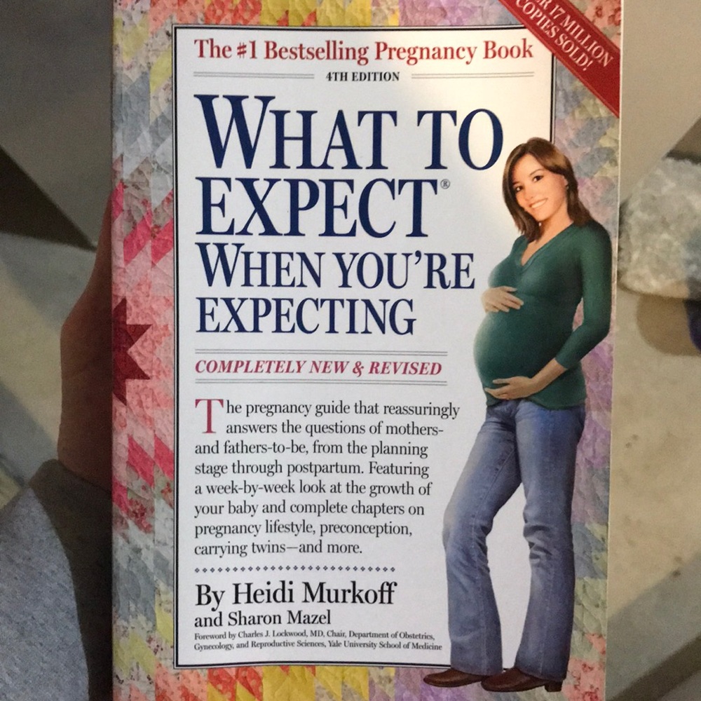 What to Expect Pregnancy Book